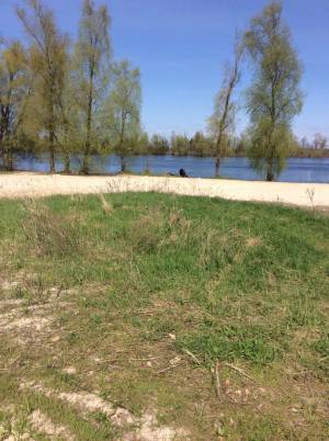 Земельна ділянка W-7440138, Набережна, Пухівка - Фото 3