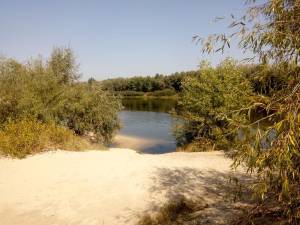 Земельна ділянка W-7445801, Набережна, Пухівка - Фото 4