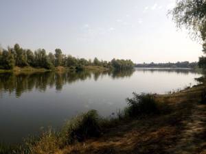 Земельна ділянка W-7445801, Набережна, Пухівка - Фото 5