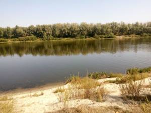 Земельна ділянка W-7445810, Набережна, Пухівка - Фото 1