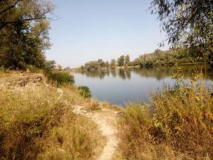 Земельна ділянка W-7445810, Набережна, Пухівка - Фото 6