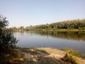 Земельна ділянка W-7452289, Набережна, Пухівка - Фото 2