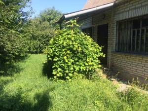 Будинок W-7424972, Супоївка - Фото 3