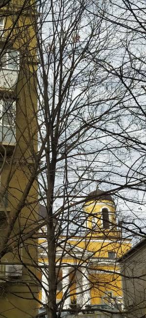 Квартира W-7356644, Трехсвятительская, 3, Киев - Фото 14