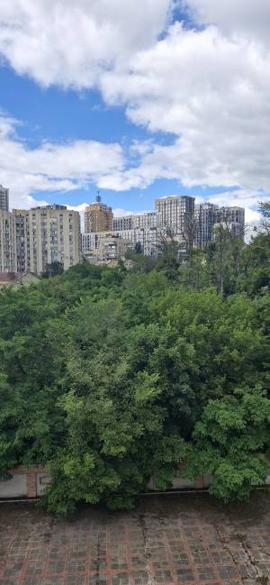 Apartment W-7298990, Khmelnytskoho Bohdana, 80, Kyiv - Photo 13