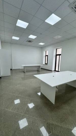  Отдельно стоящее здание, W-7333859, Жилянская, 19, Киев - Фото 5