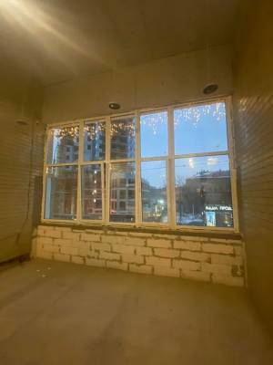  Нежитлове приміщення, W-7425841, Антоновича Володимира (Горького), 125, Київ - Фото 14