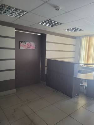  Офис, W-7425896, Васкула Ореста (Пушиной Феодоры), 8, Киев - Фото 2