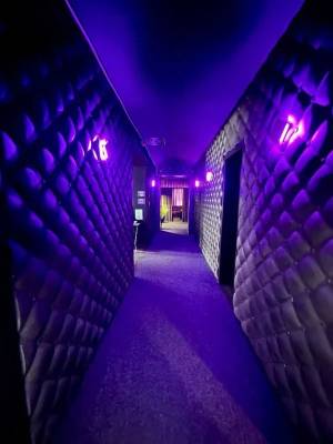  Нежитлове приміщення, W-7427151, Антоновича Володимира (Горького), 50, Київ - Фото 5