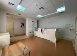  Нежитлове приміщення, W-7433246, Круглоуніверситетська, 13, Київ - Фото 3