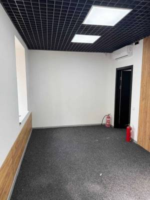  Отдельно стоящее здание, W-7442467, Сечевых Стрельцов (Артема), 55, Киев - Фото 12