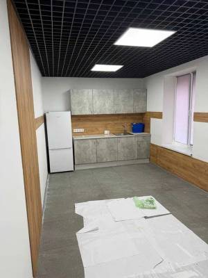  Отдельно стоящее здание, W-7442467, Сечевых Стрельцов (Артема), 55, Киев - Фото 15