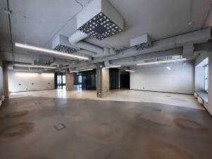  Отдельно стоящее здание, W-7447460, Зоологическая, 5, Киев - Фото 14