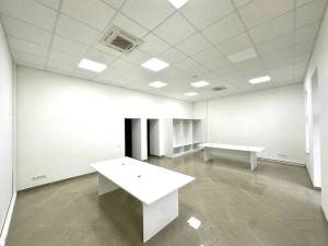  Отдельно стоящее здание, W-7447607, Жилянская, 19, Киев - Фото 6