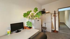  Офис, W-7427956, Большая Васильковская (Красноармейская), Киев - Фото 9