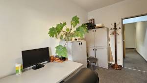  Офис, W-7427956, Большая Васильковская (Красноармейская), Киев - Фото 3