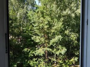 Будинок W-7431428, Інститутська, 97, Гатне - Фото 10