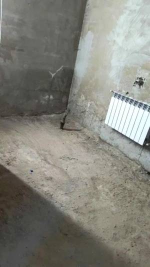 Квартира W-7449539, Институтская, 97, Гатное - Фото 7