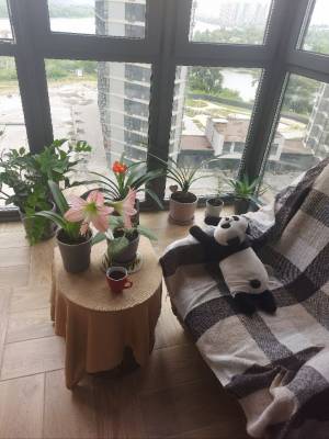 Квартира W-7426190, Осокорская, 2а, Киев - Фото 4