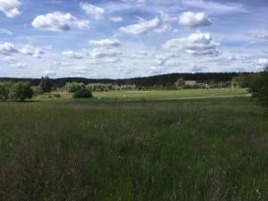 Земельна ділянка W-7426331, Жукова, Колонщина - Фото 2