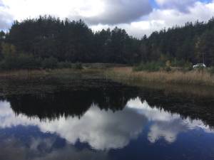 Земельна ділянка W-7426331, Жукова, Колонщина - Фото 7