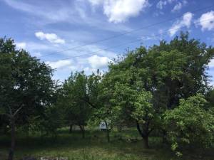 Земельна ділянка W-7426331, Жукова, Колонщина - Фото 1