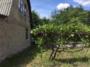 Будинок W-7450902, Жукова, 21, Колонщина - Фото 5