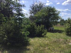 Будинок W-7450902, Жукова, 21, Колонщина - Фото 6