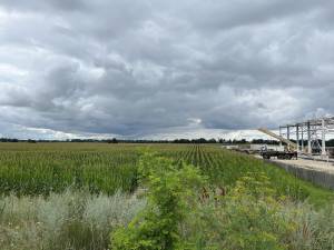 Земельна ділянка W-7436806, Княжичі (Броварський) - Фото 6