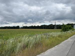 Земельна ділянка W-7436806, Княжичі (Броварський) - Фото 3