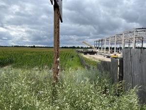 Земельна ділянка W-7436806, Княжичі (Броварський) - Фото 5