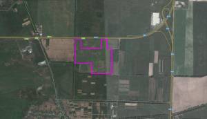 Земельна ділянка W-7436806, Княжичі (Броварський) - Фото 1