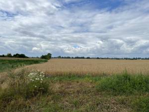 Земельный участок W-7436809, Мытница - Фото 3