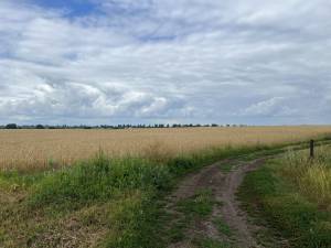 Земельный участок W-7436809, Мытница - Фото 6