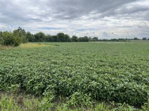 Земельный участок W-7436809, Мытница - Фото 5