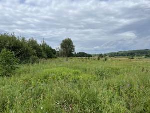 Земельный участок W-7436848, Застугна (Васильковский) - Фото 3