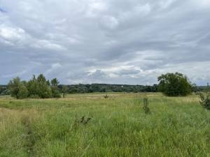 Земельный участок W-7436848, Застугна (Васильковский) - Фото 5