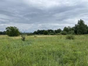 Земельный участок W-7436848, Застугна (Васильковский) - Фото 4