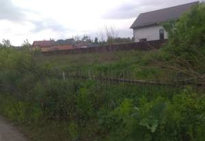 Земельный участок W-7419804, Леонтовича, Гостомель - Фото 2