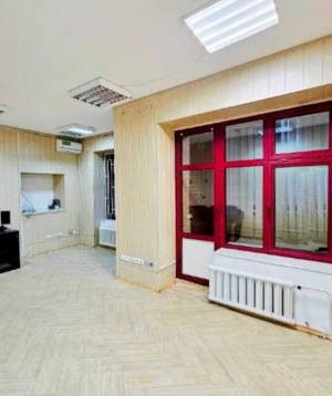  Офис, W-7425343, Багалия Дмитрия (Пожарского), 4, Киев - Фото 4