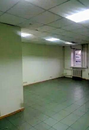  Офис, W-7428825, Гетмана Павла Полуботка (Попудренко), 52, Киев - Фото 4