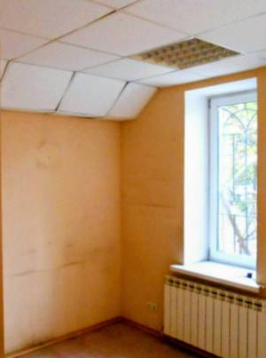  Офис, W-7428832, Литвинского Юрия (Российская), 45, Киев - Фото 7