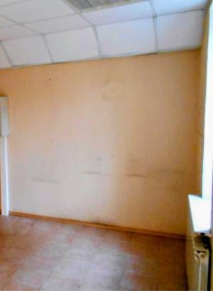  Офіс, W-7430790, Литвинського Юрія (Російська), 45, Київ - Фото 2