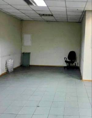  Офіс, W-7432112, Гетьмана Павла Полуботка (Попудренка), Київ - Фото 6