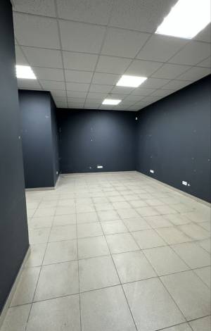  Офіс, W-7432714, Градинська, 9, Київ - Фото 7