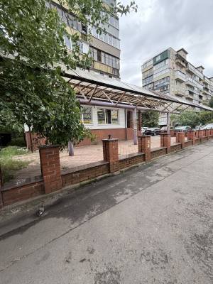  Нежилое помещение, W-7389738, Левицкого Ореста (Курчатова Академіка), Киев - Фото 2