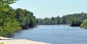 Дом W-7443361, Хотяновка - Фото 1