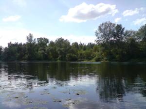 Дом W-7443361, Хотяновка - Фото 3