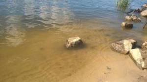 Дом W-7443361, Хотяновка - Фото 2