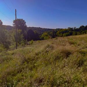 Земельна ділянка W-7440137, Кузьминці - Фото 11